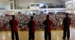 IMG_9185 (800x533)