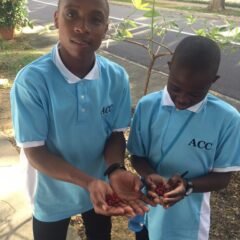 新加坡的朋友们很友善 / 清孝