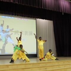 中学/高中组入围作品：陈凯彤（军港中学）-与非洲同学交流后的体会